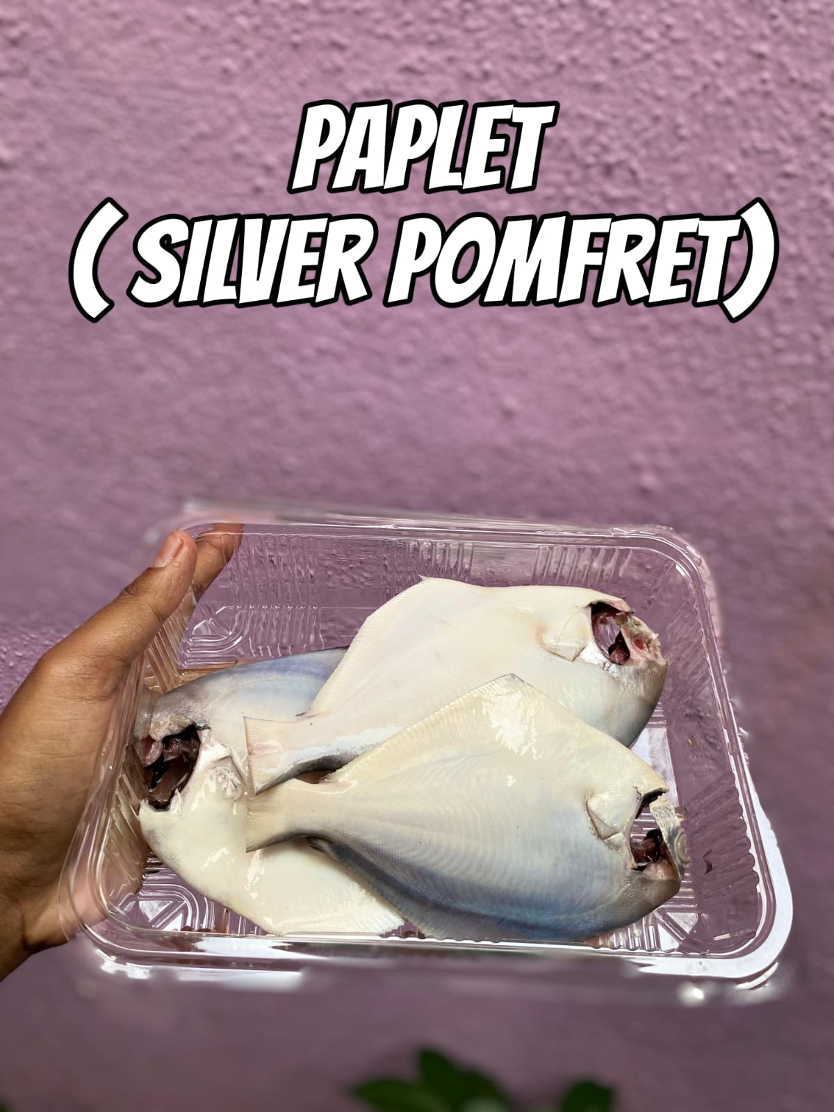 1 Kg Fresh medium Pomfret | 4 Pieces Approx | Premium Quality | Ready to Cook